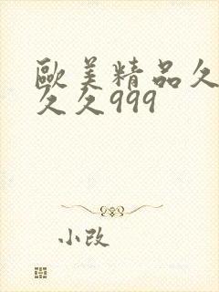 欧美精品久久久久久999