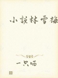 小说林雪梅封面