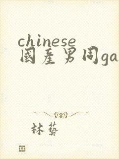 chinese国产男同gaygay网站