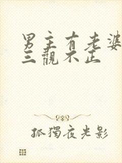 男主有老婆出轨三观不正