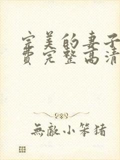 完美的妻子5免费完整高清韩剧在线观看封面