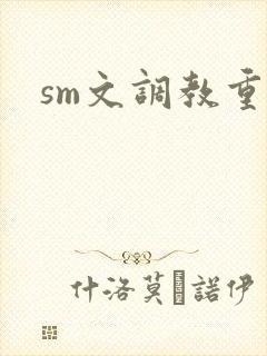 sm文调教重口封面