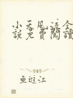 小天风流全集小说免费阅读封面