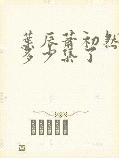 叶辰萧初然更新多少集了封面