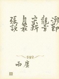 张月宋观潮的小说最新章节笔趣阁封面