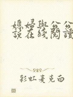 媳妇与公公 小说在线阅读封面