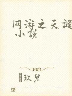 网游之天谴修罗 小说