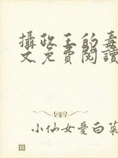 摄政王的毒妃全文免费阅读