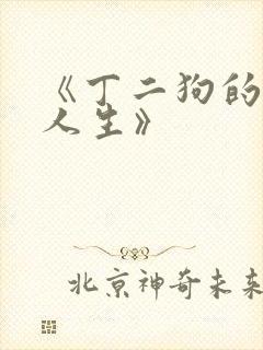 《丁二狗的逆袭人生》