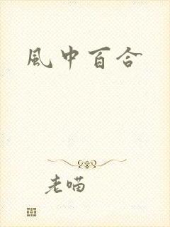 风中百合封面
