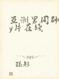 亚洲男同帅gay片在线封面