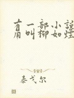 有一部小说女主角叫柳如烟