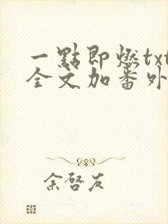 一点即燃txt全文加番外封面