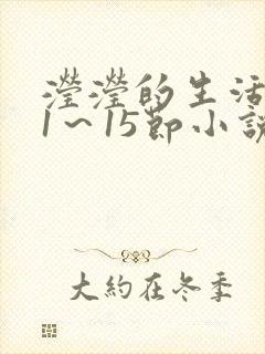 滢滢的生活日记1～15节小说封面