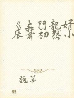 《上门龙婿》叶辰萧初然小说封面