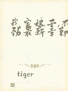 我家娘子,不对劲最新章节无弹窗