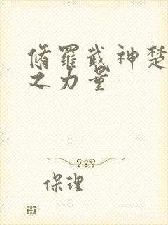 修罗武神楚枫神之力量