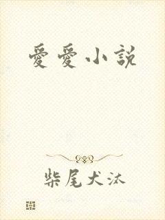 爱爱小说