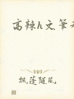 高辣h文笔趣阁