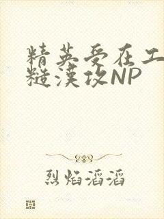 精英受在工地被糙汉攻NP