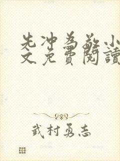 先冲为敬小说全文免费阅读无弹窗