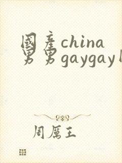 国产china男男gaygay网站