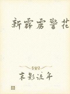 新霹雳警花封面