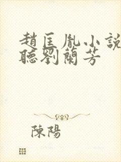 赵匡胤小说免费听刘兰芳