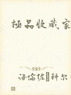 极品收藏家