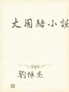 大团结小说阅读