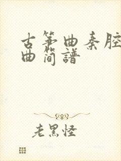 古筝曲秦腔即兴曲简谱封面