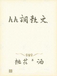 hh调教文