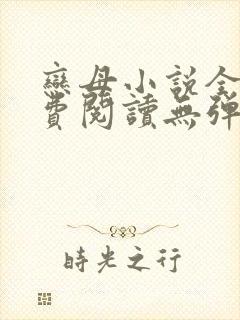 恋母小说全文免费阅读无弹窗笔趣阁封面