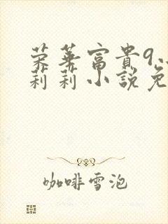 荣华富贵9小王莉莉小说免费阅读