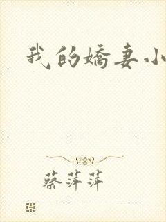我的娇妻小说