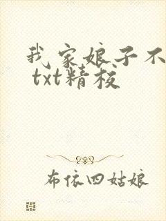 我家娘子不对劲 txt精校