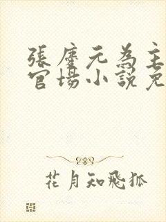 张庆元为主角的官场小说免费阅读无弹窗