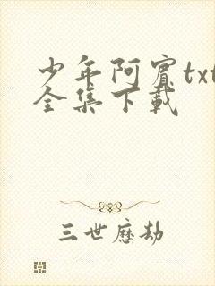 少年阿宾txt全集下载封面