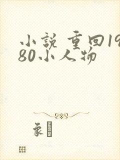 小说 重回1980小人物