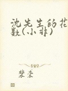 沈先生的花式调数(小非)封面