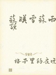 苏映雪苏雨柔小说封面