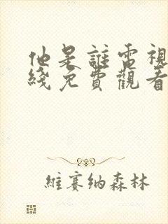 他是谁电视剧在线免费观看完整版封面