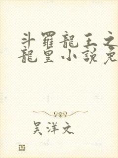 斗罗龙王之光暗龙皇小说免费阅读