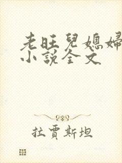 老旺儿媳妇秦雨小说全文