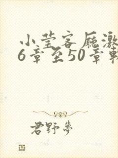 小莹客厅激情46章至50章软件介绍