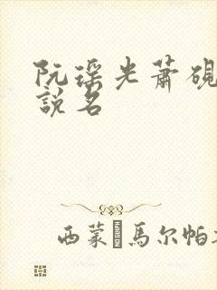 阮瑶光萧砚风小说名