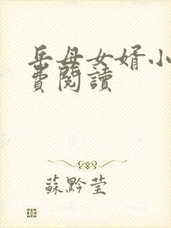 岳母女婿小说免费阅读