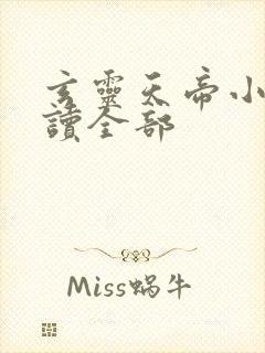 玄灵天帝小说阅读全部