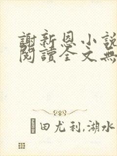 谢新恩小说免费阅读全文无弹窗封面