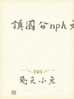 镇国公nph文